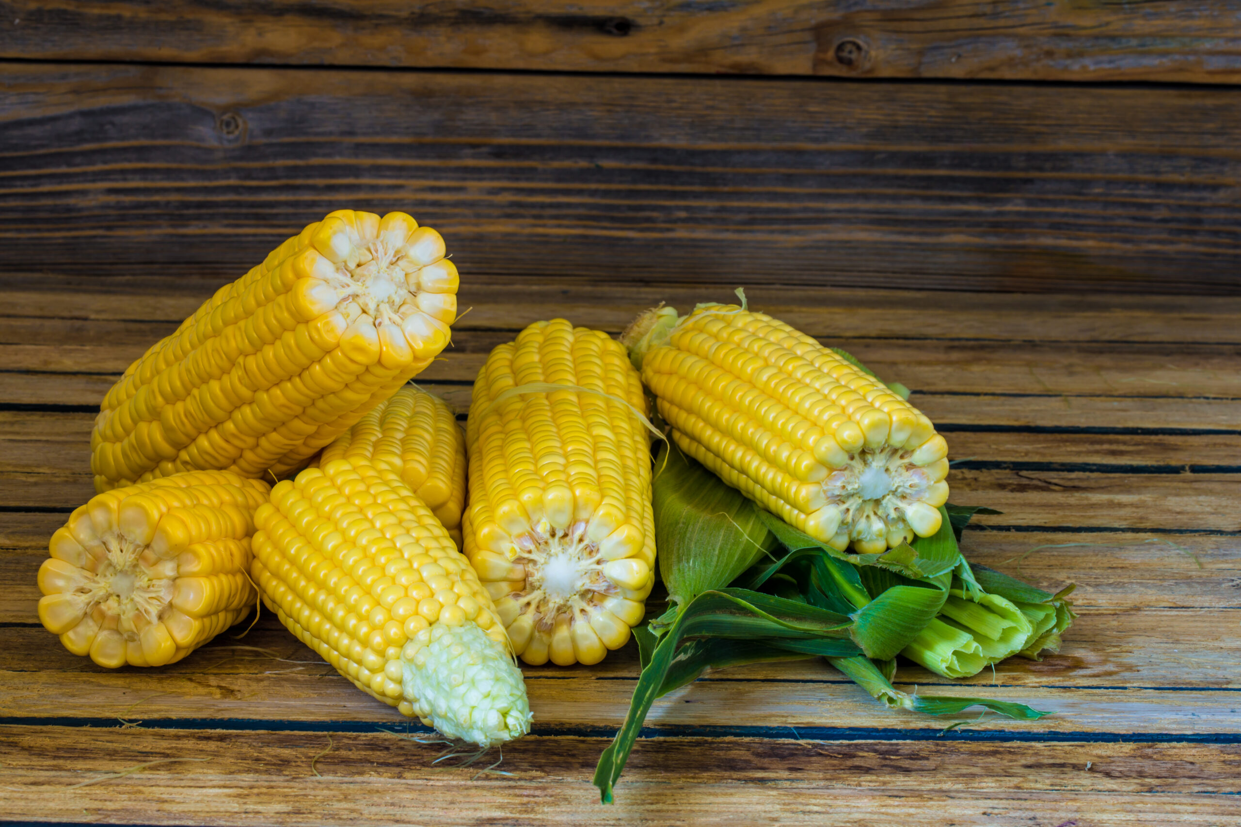 young corn on a beautiful wooden background